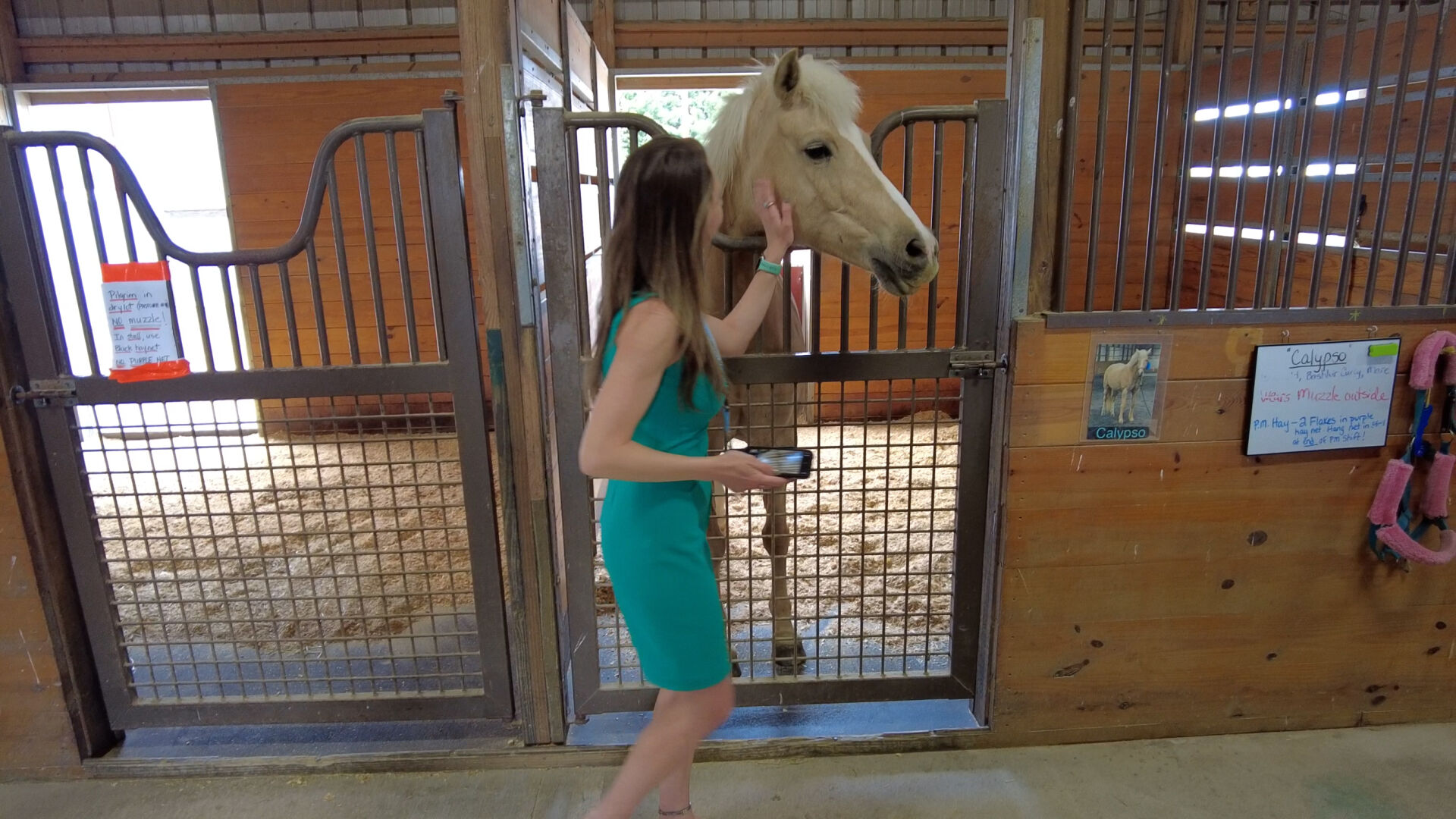 calypso
